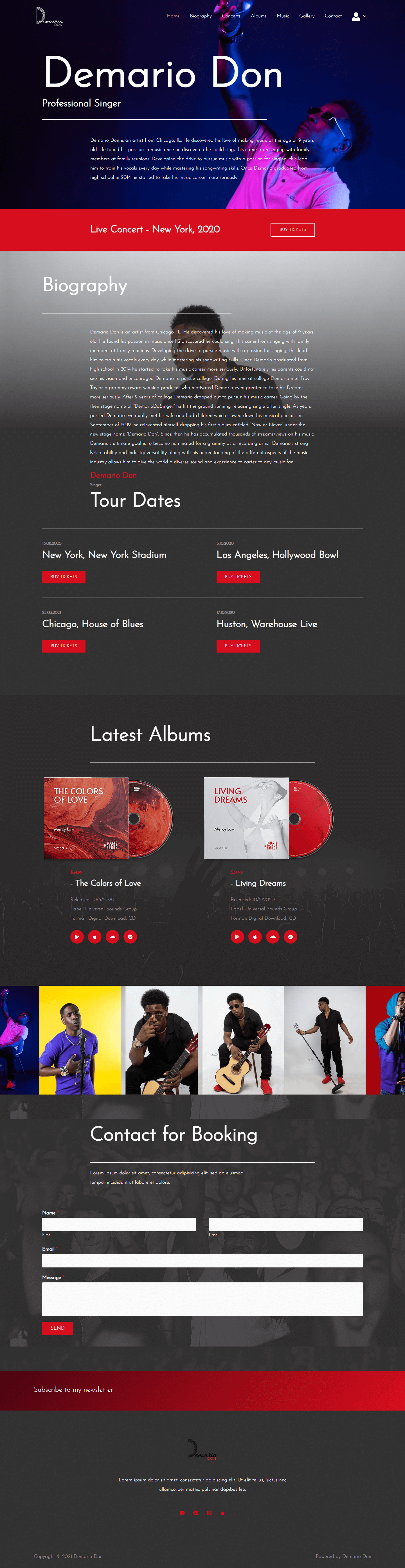 professional web design company in USA