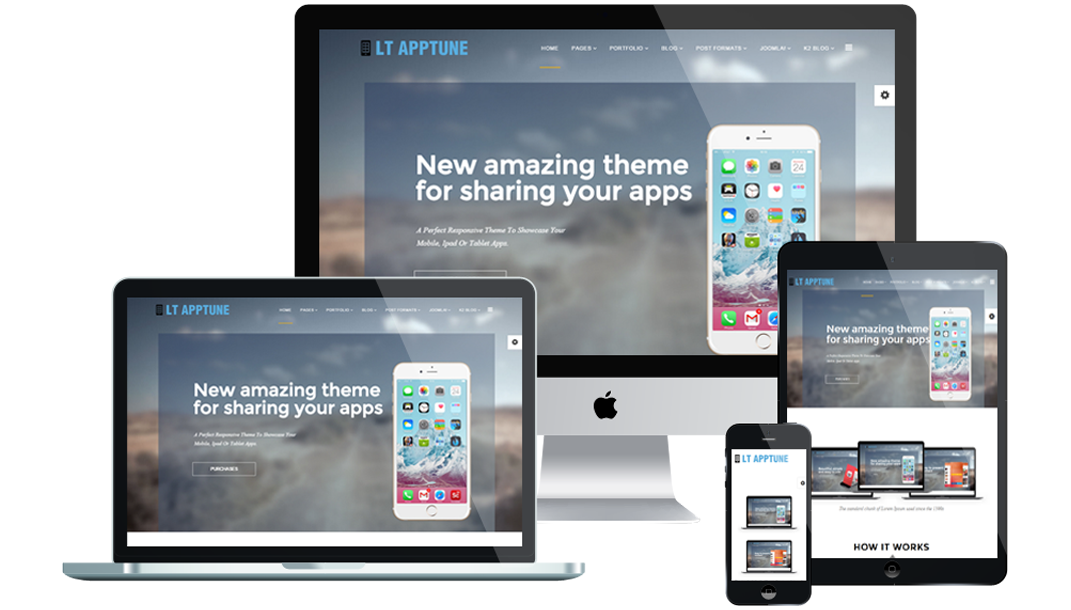 web design web development in USA